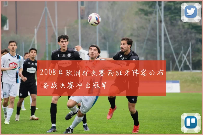 2008年欧洲杯决赛西班牙阵容公布 备战决赛冲击冠军