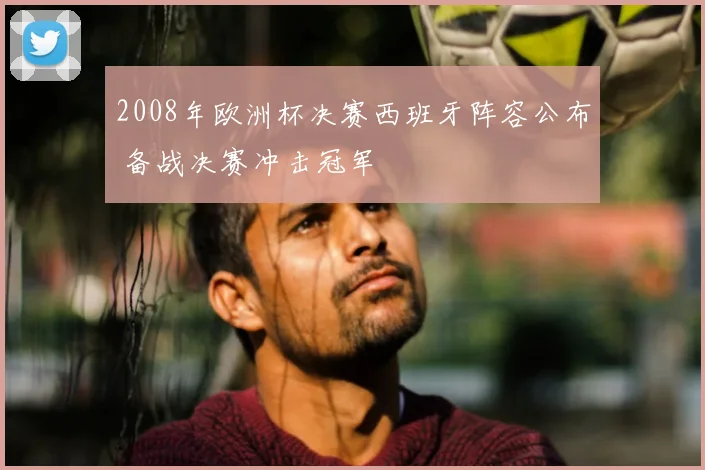 2008年欧洲杯决赛西班牙阵容公布 备战决赛冲击冠军