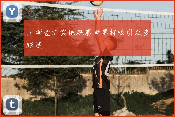 上海金汇实地观赛世界杯吸引众多球迷
