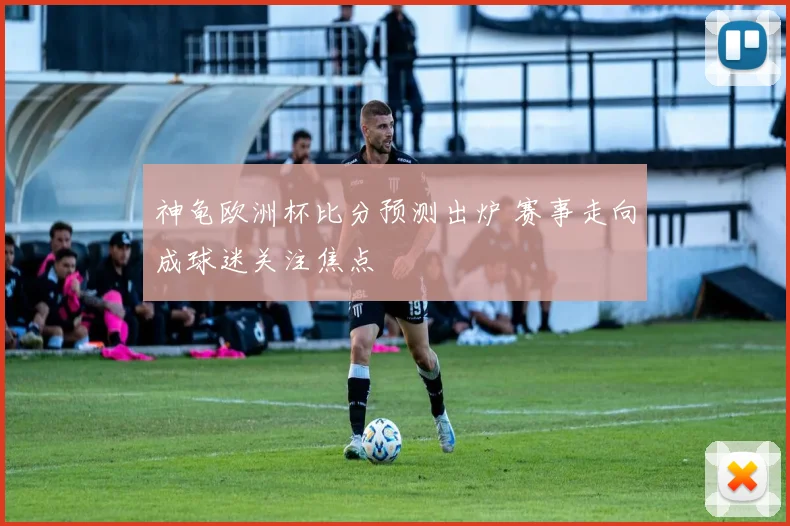 神龟欧洲杯比分预测出炉 赛事走向成球迷关注焦点