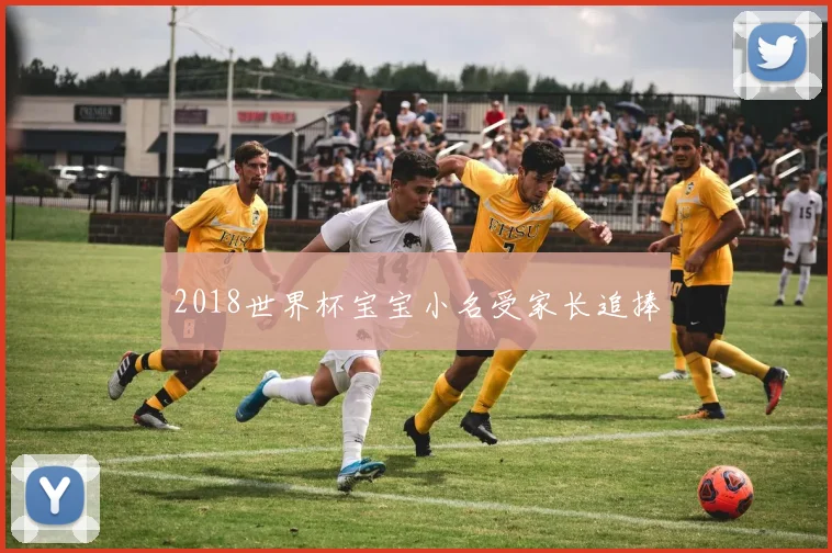 2018世界杯宝宝小名受家长追捧
