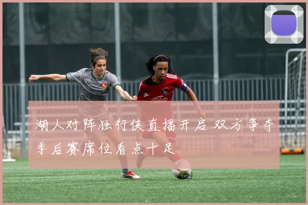 湖人对阵独行侠直播开启 双方争夺季后赛席位看点十足