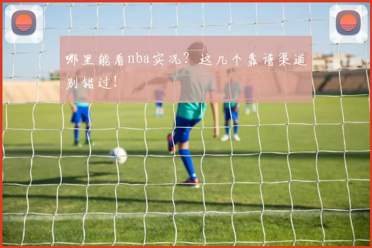 哪里能看nba实况？这几个靠谱渠道别错过！